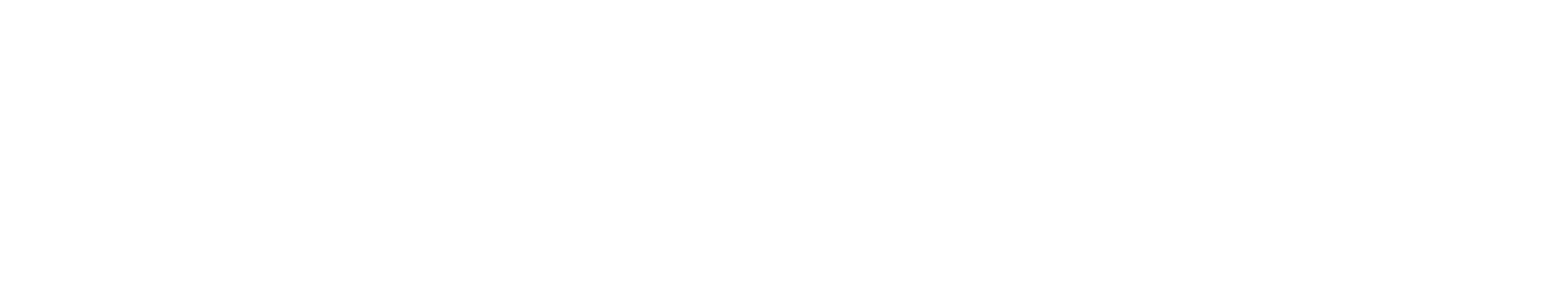 Intellisec